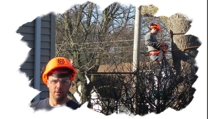 Grand Rapids Metro Tree Service, LLC