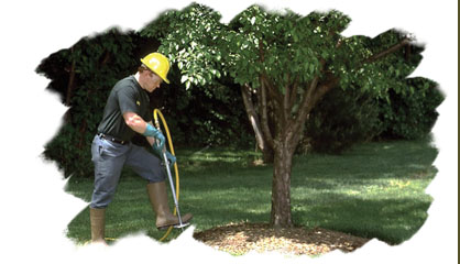 Grand Rapids Metro Tree Service, LLC