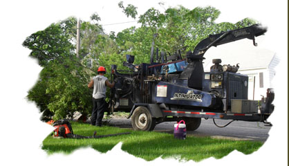 Grand Rapids Metro Tree Service, LLC